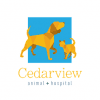 cedarview valley med veterinary lighting equipment